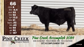 Lot #66 - 
