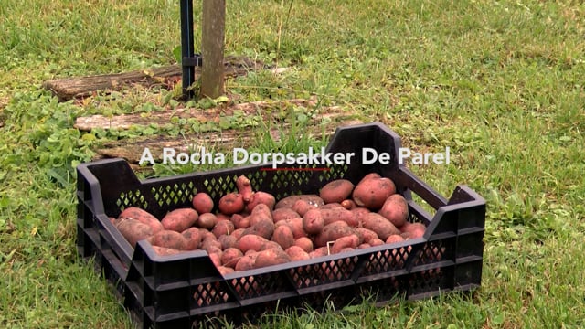 Dorpsakker de Parel Amerongen