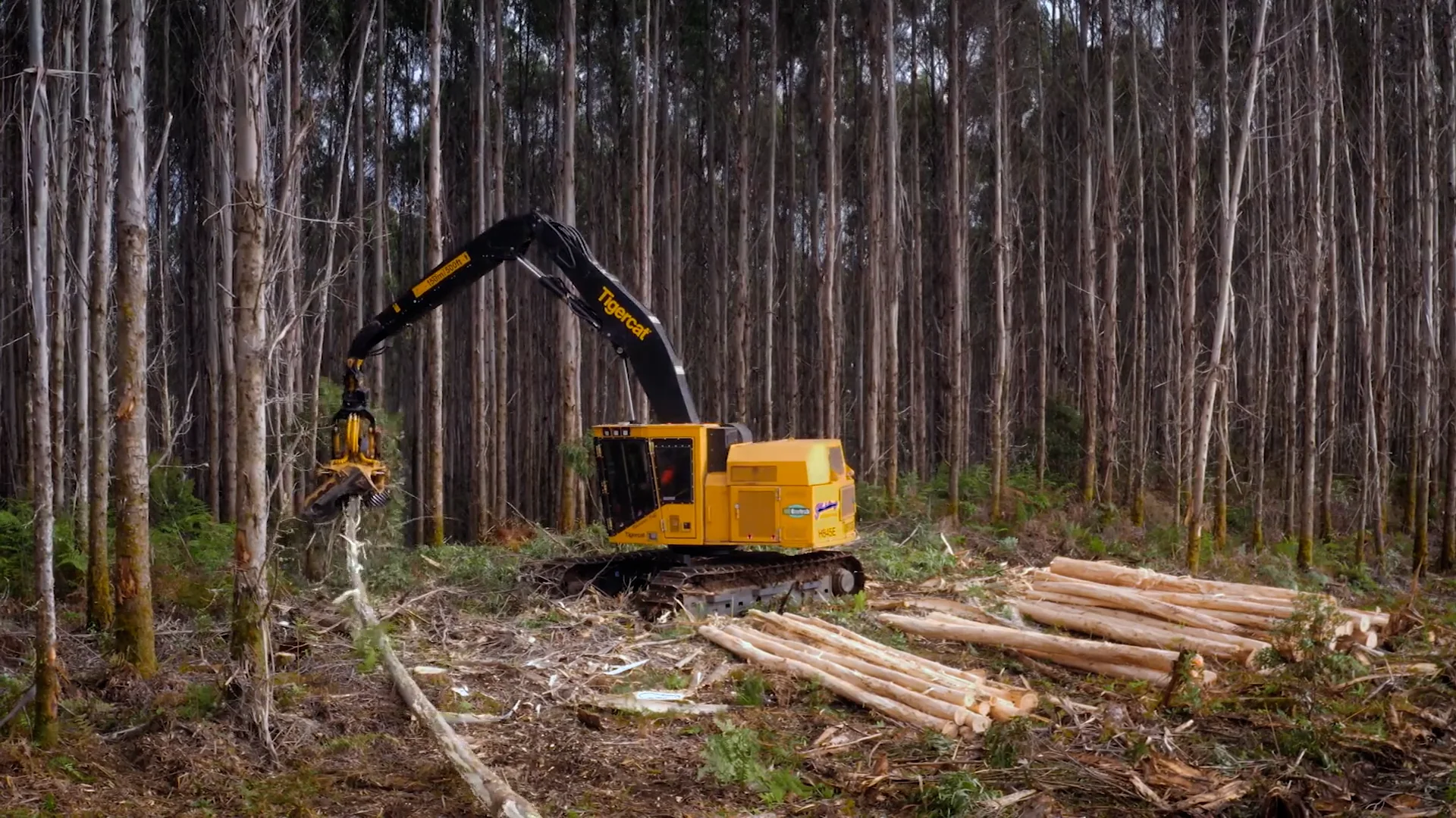 570 Harvesting Head | TCi Attachments