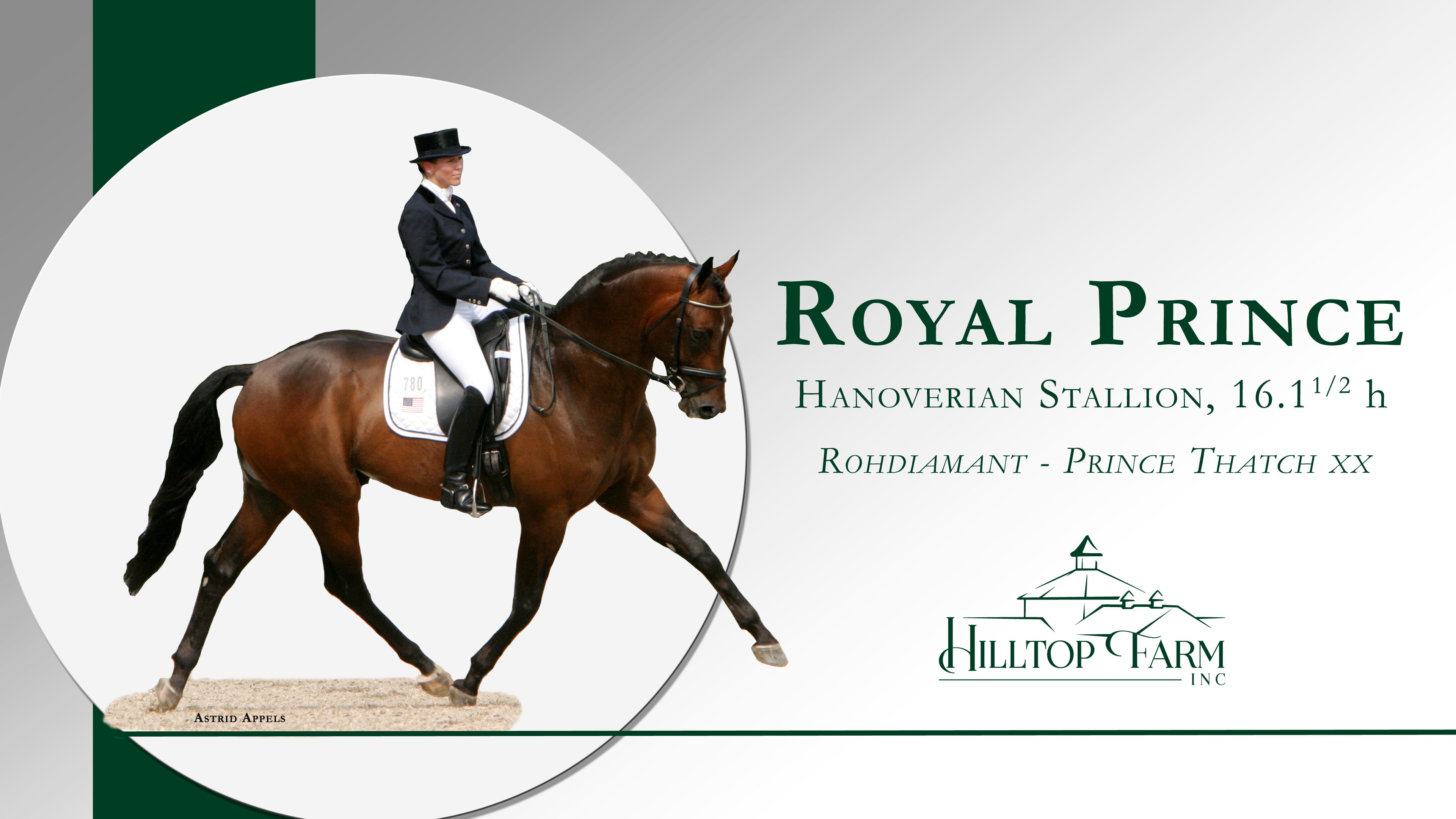 Royal Prince (Rohdiamant - Prince Thatch xx), FEI dressage stallion, 5x  USEF Sire of the Year