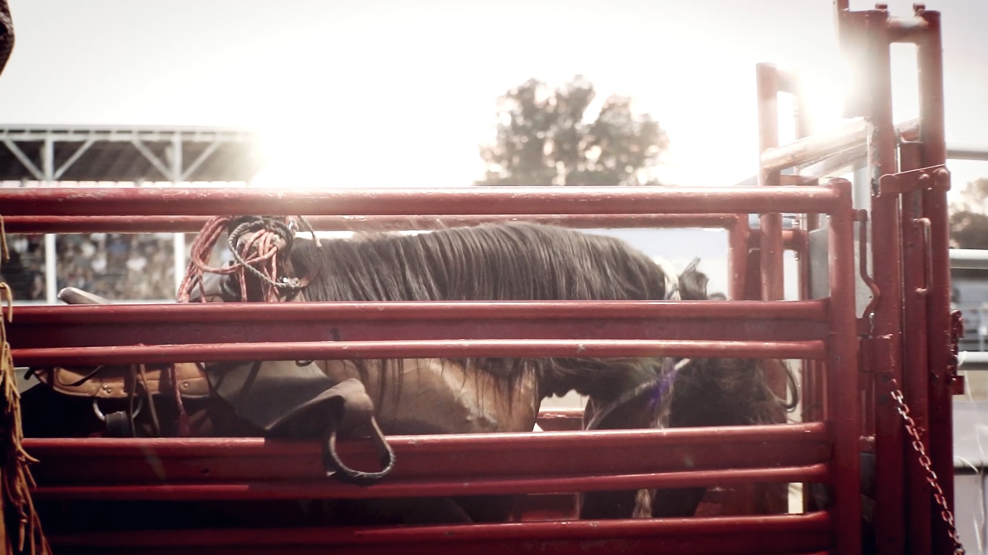 Hometown Rodeo on Vimeo