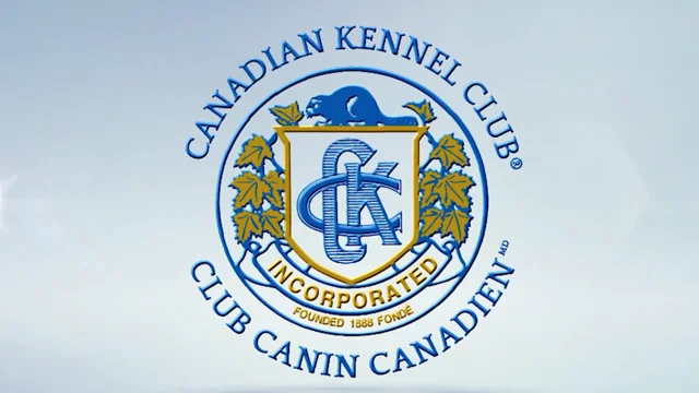 Canadian Kennel Club