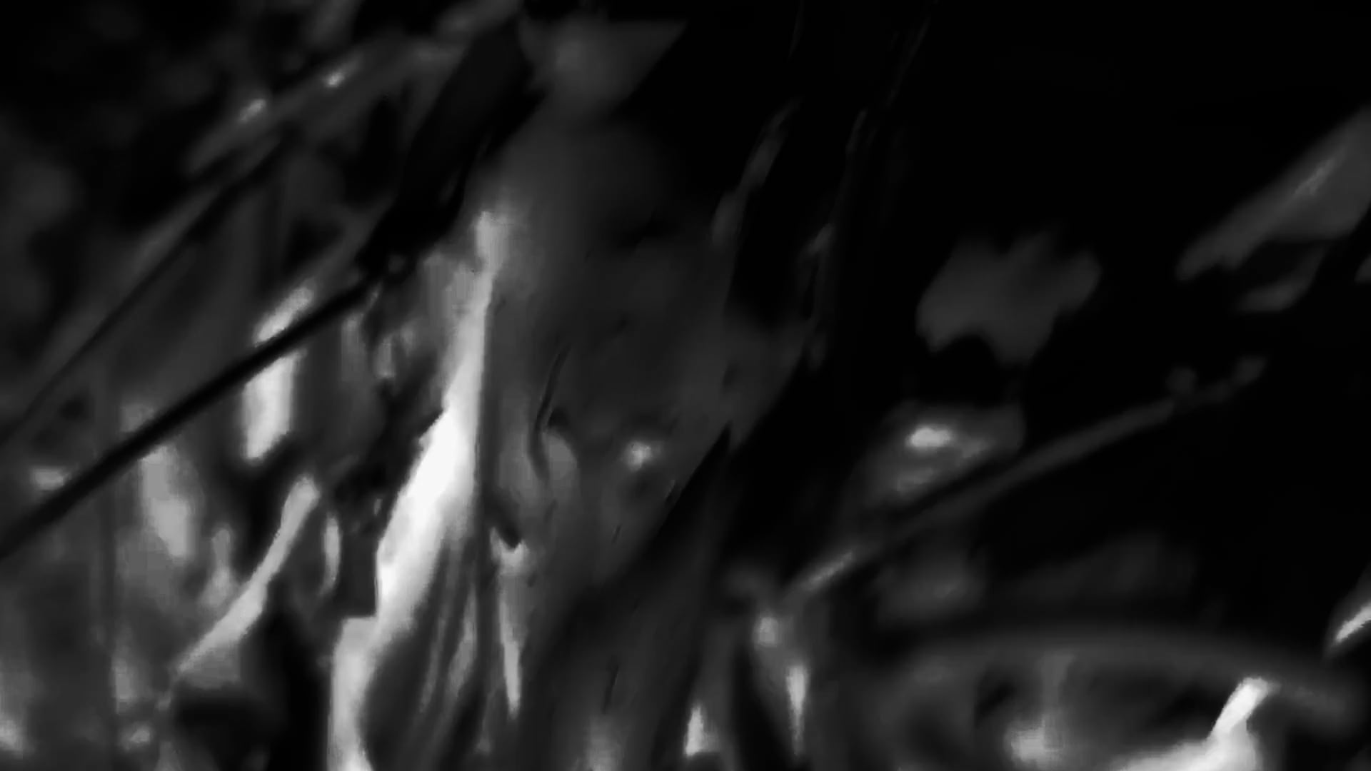 Source on Vimeo