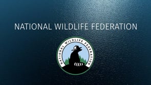 NATIONAL WILDLIFE FEDERATION