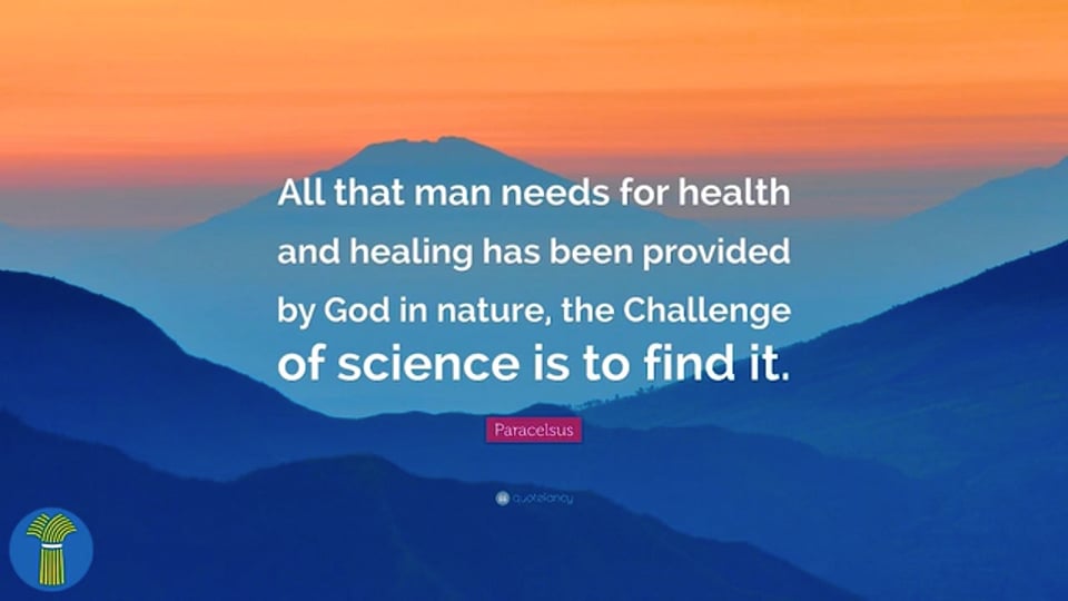 Ancient Wisdom - By Dr HReg McDaniel