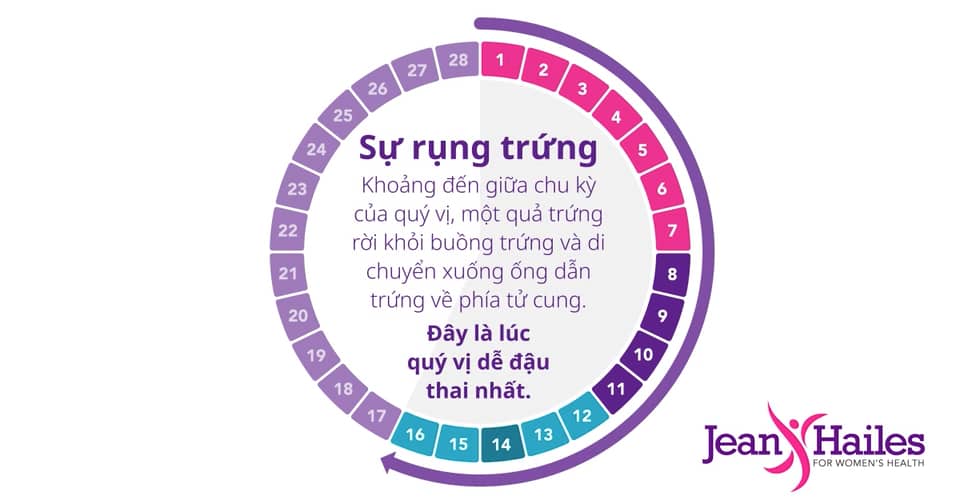 The menstrual clock (in Vietnamese) on Vimeo