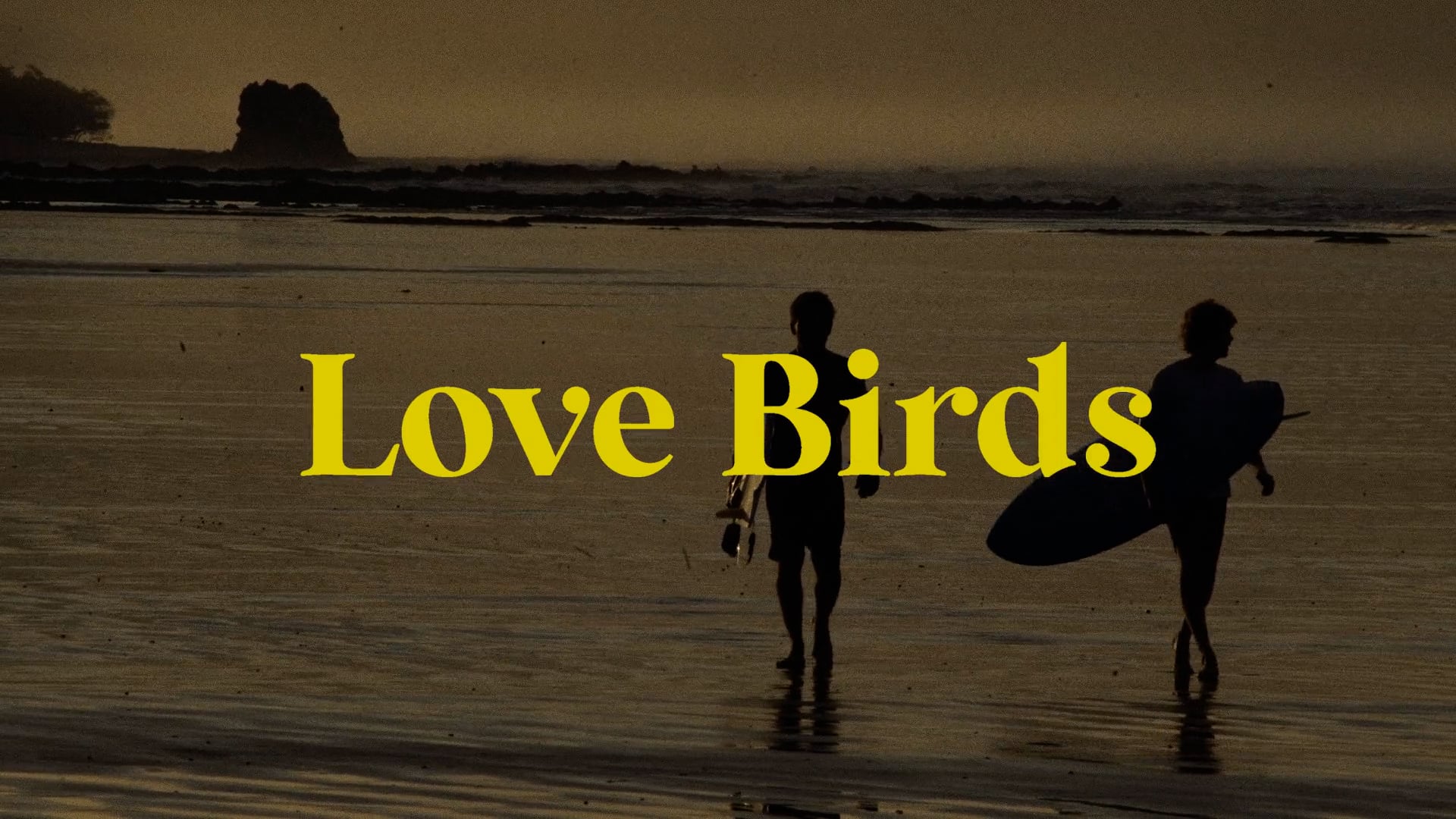 LOVE BIRDS - TEASER