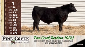 Lot #1 - 