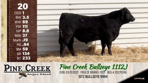 Lot #20 - 