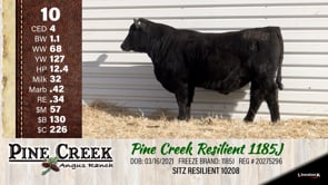 Lot #10 - 