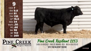Lot #9 - 