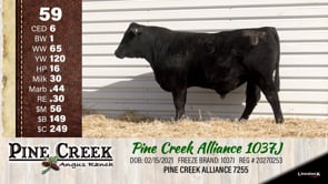 Lot #59 - 
