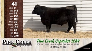 Lot #41 - 