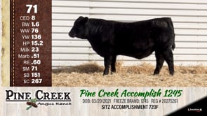 Lot #71 - 