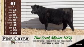 Lot #61 - 