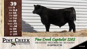 Lot #39 - 
