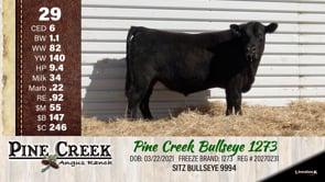 Lot #29 - 