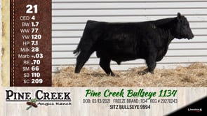Lot #21 - 