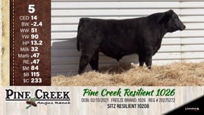 Lot #5 - 