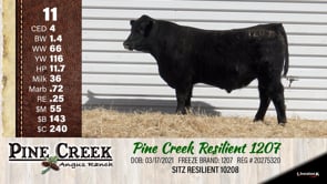 Lot #11 - 