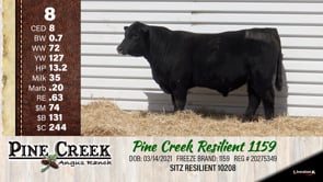 Lot #8 - 