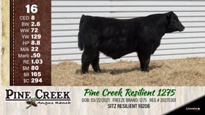 Lot #16 - 