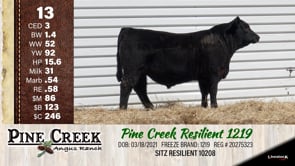 Lot #13 - 