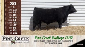 Lot #30 - 