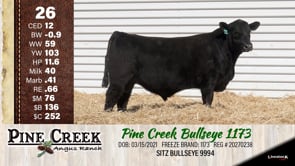 Lot #26 - 