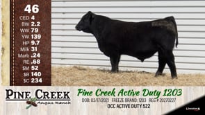 Lot #46 - 