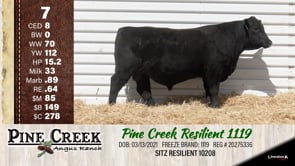Lot #7 - 