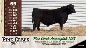 Lot #69 - 