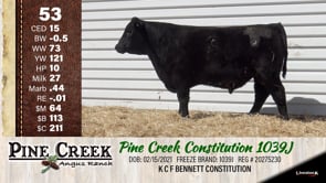 Lot #53 - 
