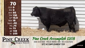 Lot #70 - 
