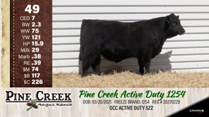 Lot #49 - 