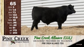 Lot #65 - 
