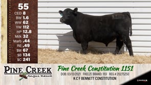 Lot #55 - 