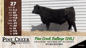 Lot #27 - 