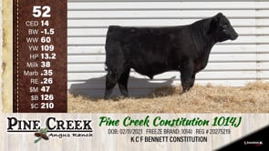 Lot #52 - 