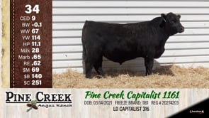Lot #34 - 