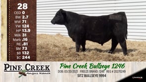 Lot #28 - 