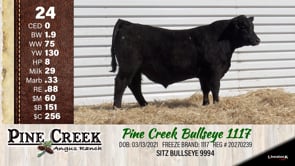 Lot #24 - 