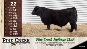 Lot #22 - 
