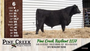 Lot #6 - 