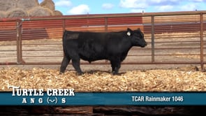 Lot #1046 - 