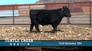 Lot #1054 - 