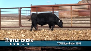 Lot #1053 - 