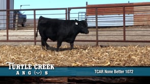 Lot #1072 - 