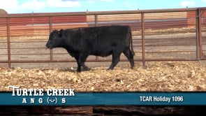 Lot #1096 - 
