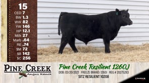Lot #15 - 